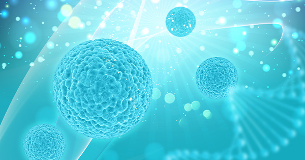 cells-shield-from-stress cells-shield-from-stress